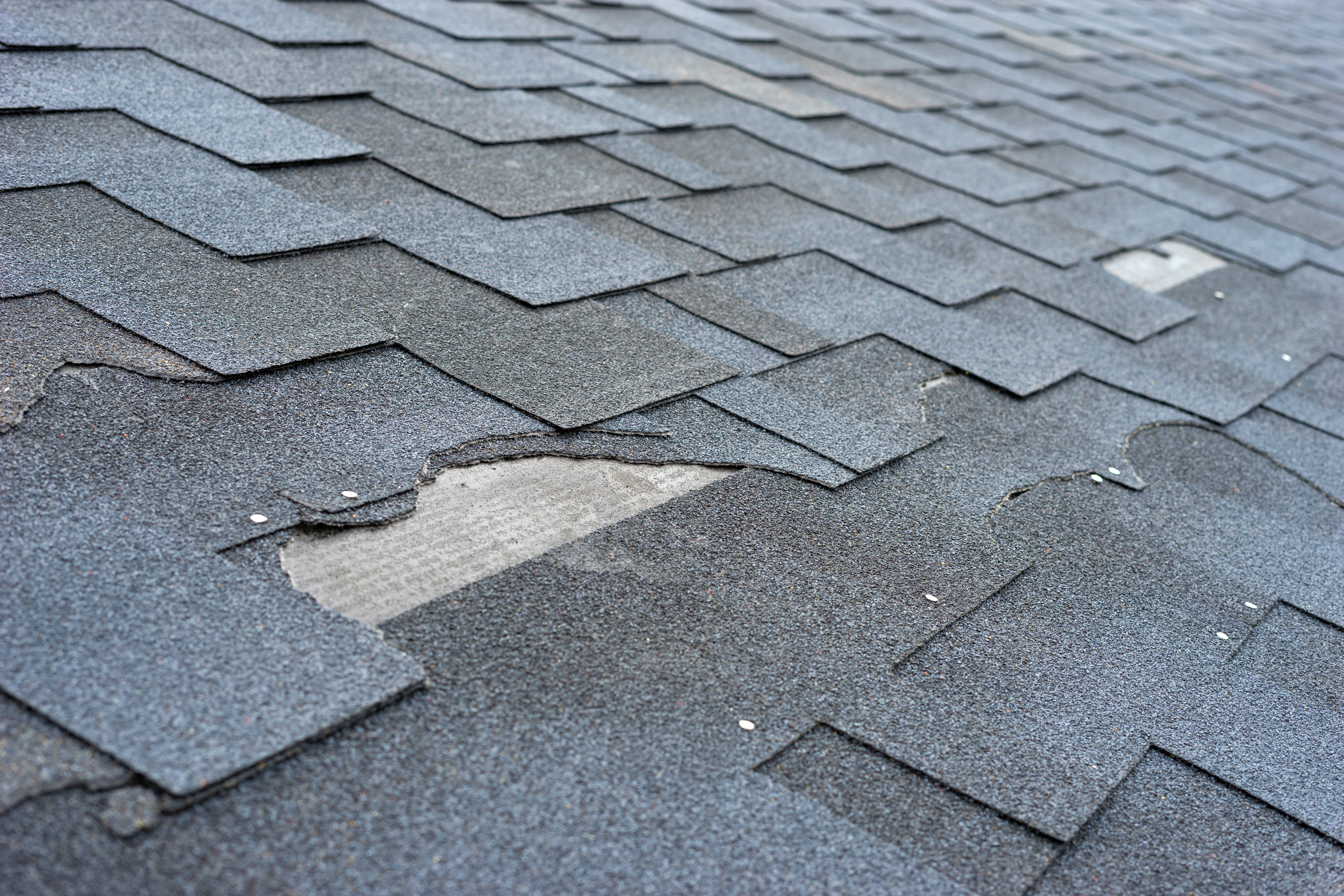 7 Signs You Need a New Roof: A Homeowner's Guide